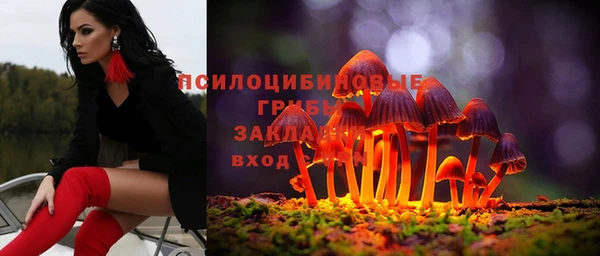 2c-b Балабаново