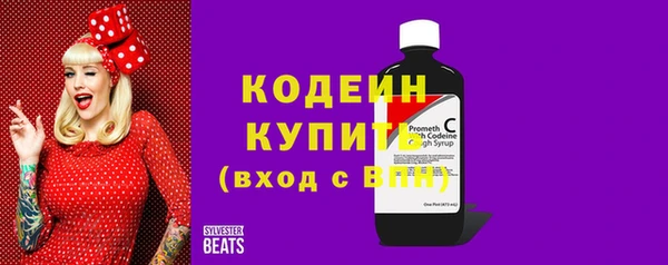 СК Новозыбков