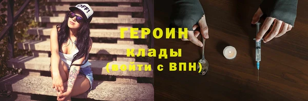 индика Новодвинск