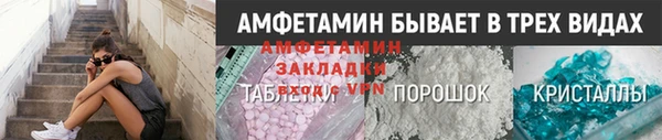 индика Новодвинск