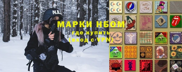 индика Новодвинск