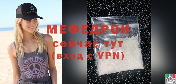 индика Новодвинск