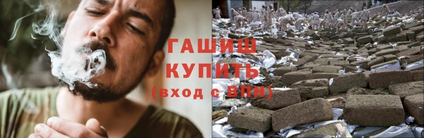 СК Новозыбков