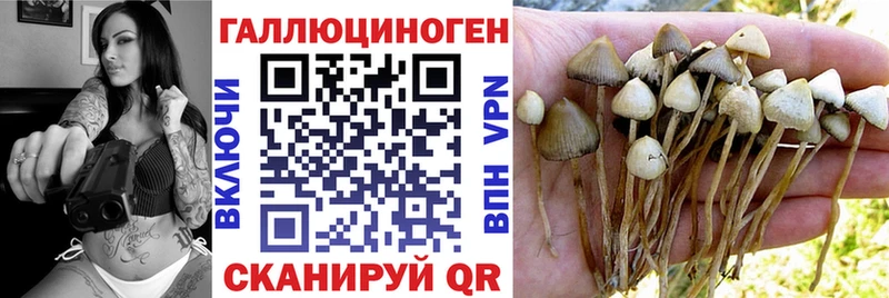 Галлюциногенные грибы Cubensis  гидра как войти  Николаевск  где можно купить  